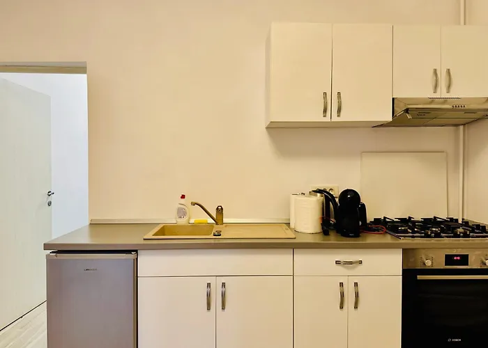 Joy Augustin 2 Appartamento Timisoara